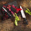 Набор ножей 3 предмета Zwilling Gourmet, Zwilling J.A. Henckels (36130-003)