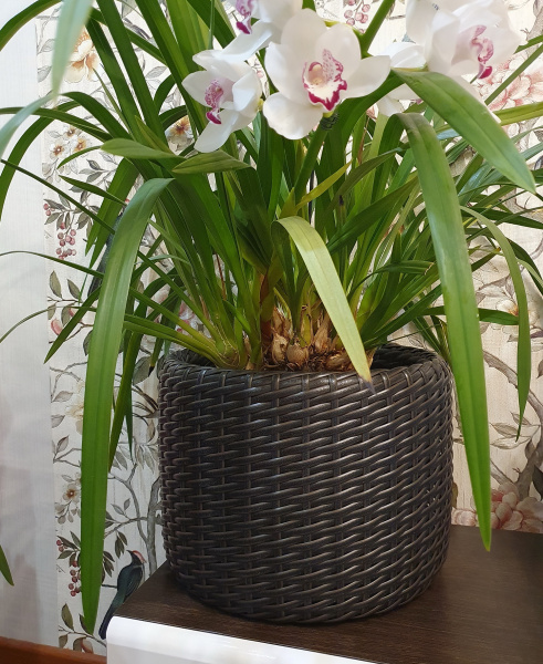 Кашпо для цветов из ротанга 16 л, форма Цилиндр низкий, цвет венге, тиснение кожа