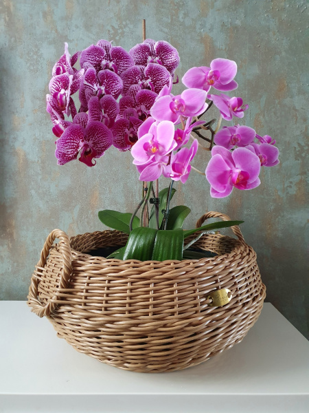 Кашпо-вазон для цветов из ротанга с ручками 14 л, цвет папирус