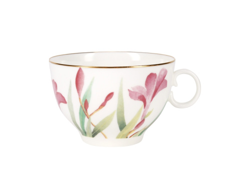 Сервиз чайный Акварель 20 предметов (Яблочко) Императорский фарфоровый завод (ЛФЗ) 81.27032.00.1