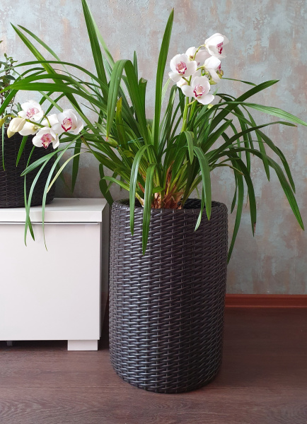 Высокое кашпо для цветов из ротанга 12 л напольное, форма Цилиндр, цвет венге, тиснение кожа