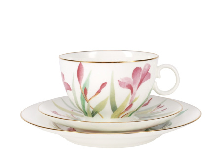 Сервиз чайный Акварель 20 предметов (Яблочко) Императорский фарфоровый завод (ЛФЗ) 81.27032.00.1